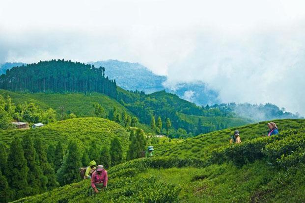 Hotel Central View - Darjeeling 大吉岭 外观 照片